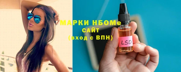 мет Алексин